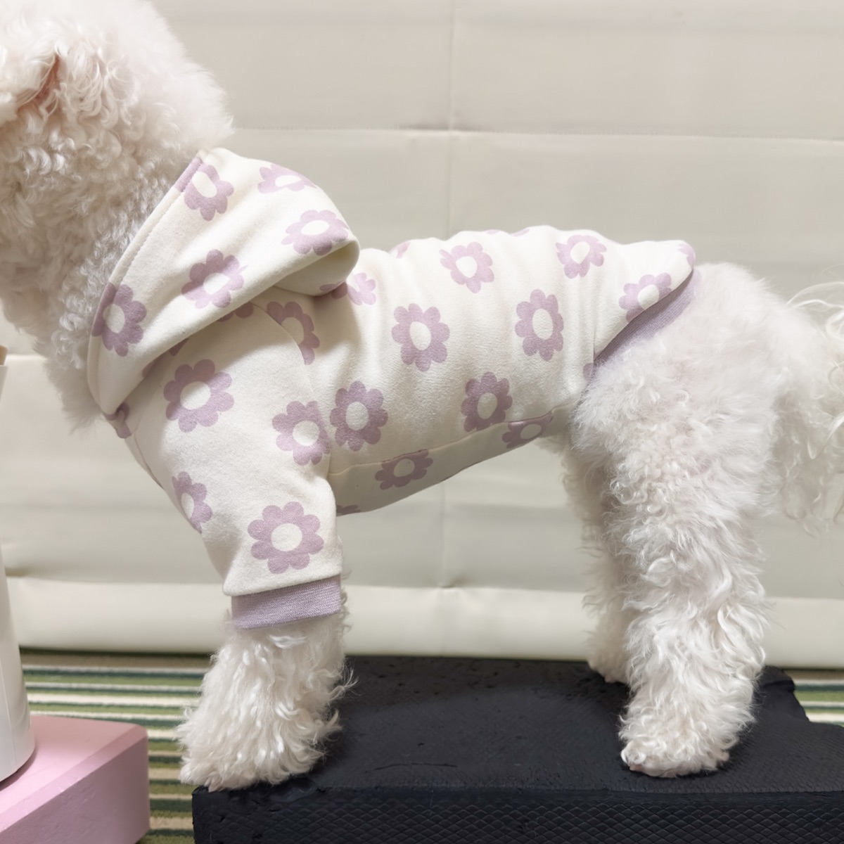 犬服ギャラリー